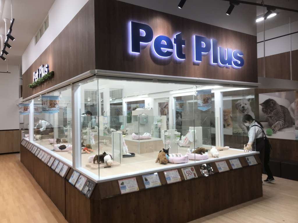 子犬・子猫の360度展示