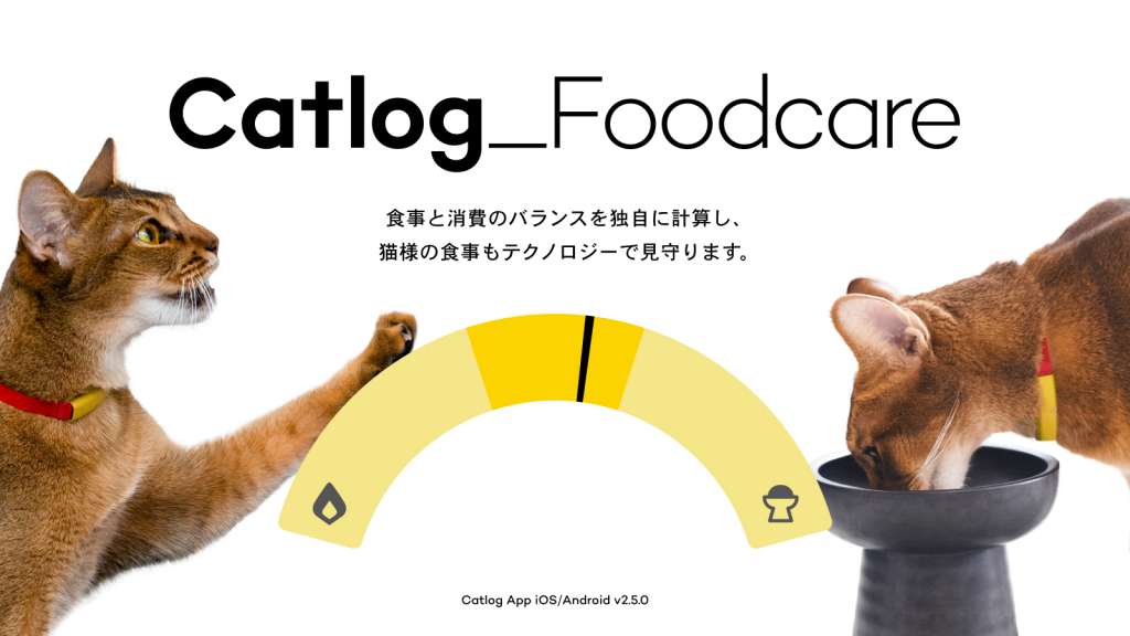 Catlog®（キャトログ）12億件を超える猫様データを活用し、猫様のお食事をテクノロジーでサポートする『Catlogフードケア』をリリース！