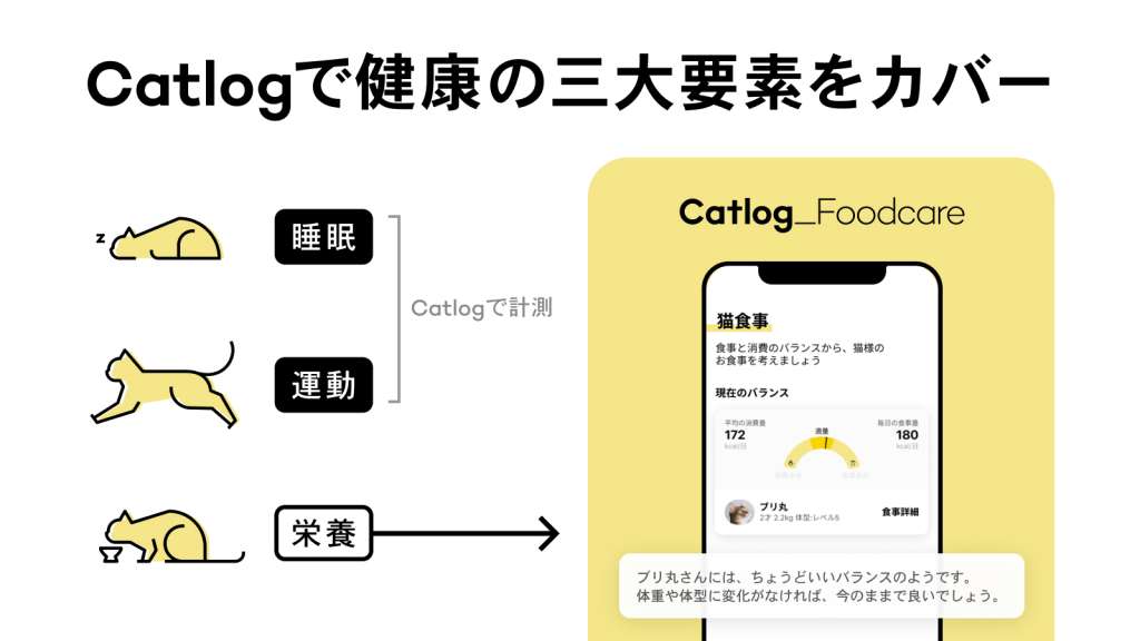 猫様ごはんと消費のバランスをサポートするCatlogフードケア『猫食事』機能