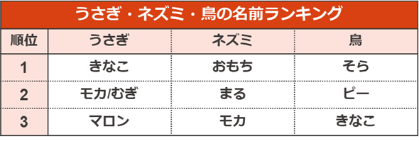 調査結果6　うさぎ・ネズミ・鳥の名前ランキング