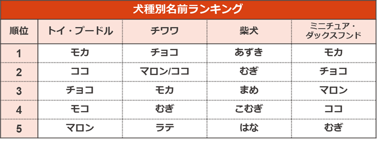 調査結果4　犬種別名前ランキング