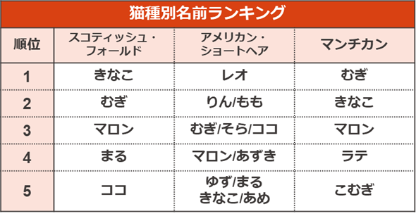 調査結果5　猫種別名前ランキング