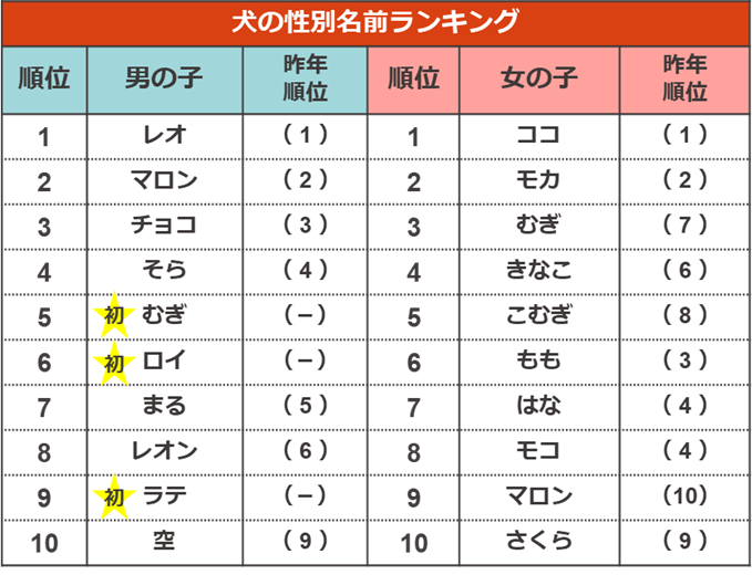 調査結果2　犬の性別名前ランキング