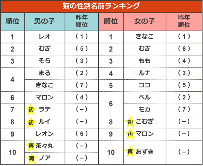 調査結果3　猫の性別名前ランキング