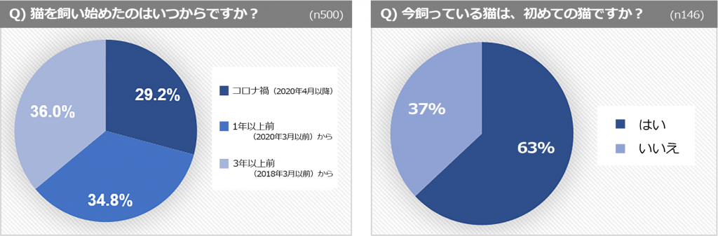 コロナ禍で猫を飼い始めた人のうち、6割以上が初めて飼う“ねこ初心者”
