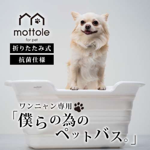 mottole for pet（モットル フォー ペット） ペットバスタブ 排水栓付 PTL-Z001