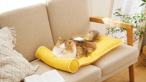 抜け毛が払いやすいあごのせマット