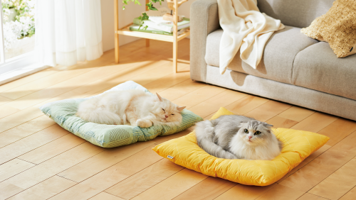 抜け毛が払いやすいおひるね座布団