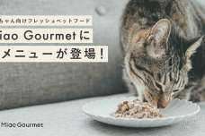 2月22日の猫の日に、猫用完全食のフレッシュペットフード・ミャオグルメから猫の健康維持にこだわったキャットフードが新発売！