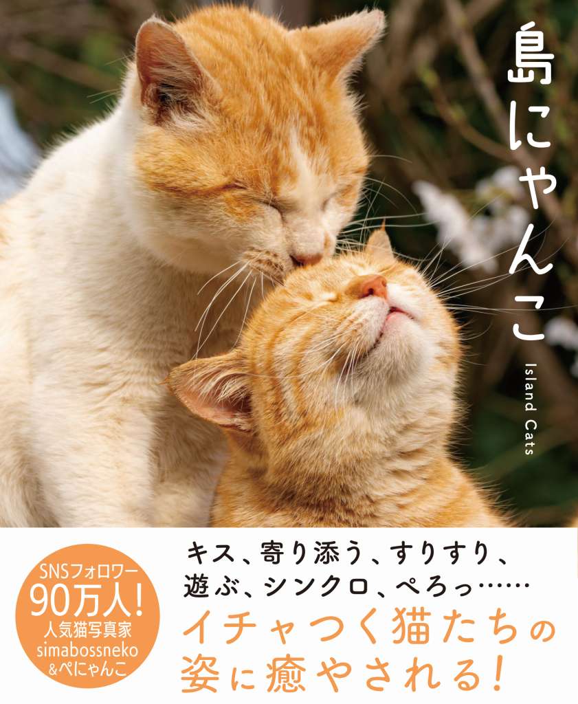 SNSフォロワー90万人の猫写真家夫妻、simabossneko&ぺにゃんこの写真集『島にゃんこ』2023年2月22日（猫の日）発売！
