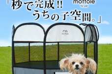 ラクラク折りたたみ式で持ち運びに便利なペットサークルをモットル フォー ペットより発売