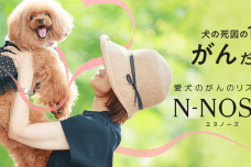 “愛犬用”線虫がん検査「N-NOSE® わんちゃん」5月9日（火）からサービス提供開始